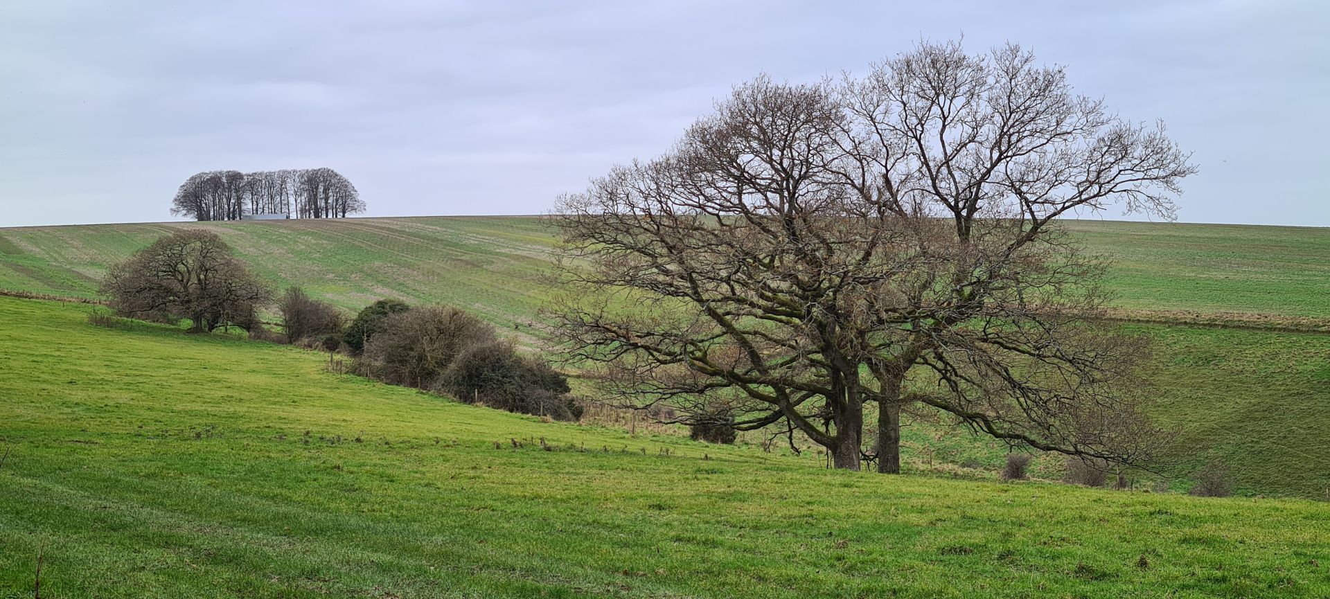 Lovely view seen along this walk